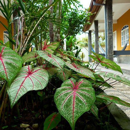 Villa Do Sonho Pousada Hotel Araquari Eksteriør billede