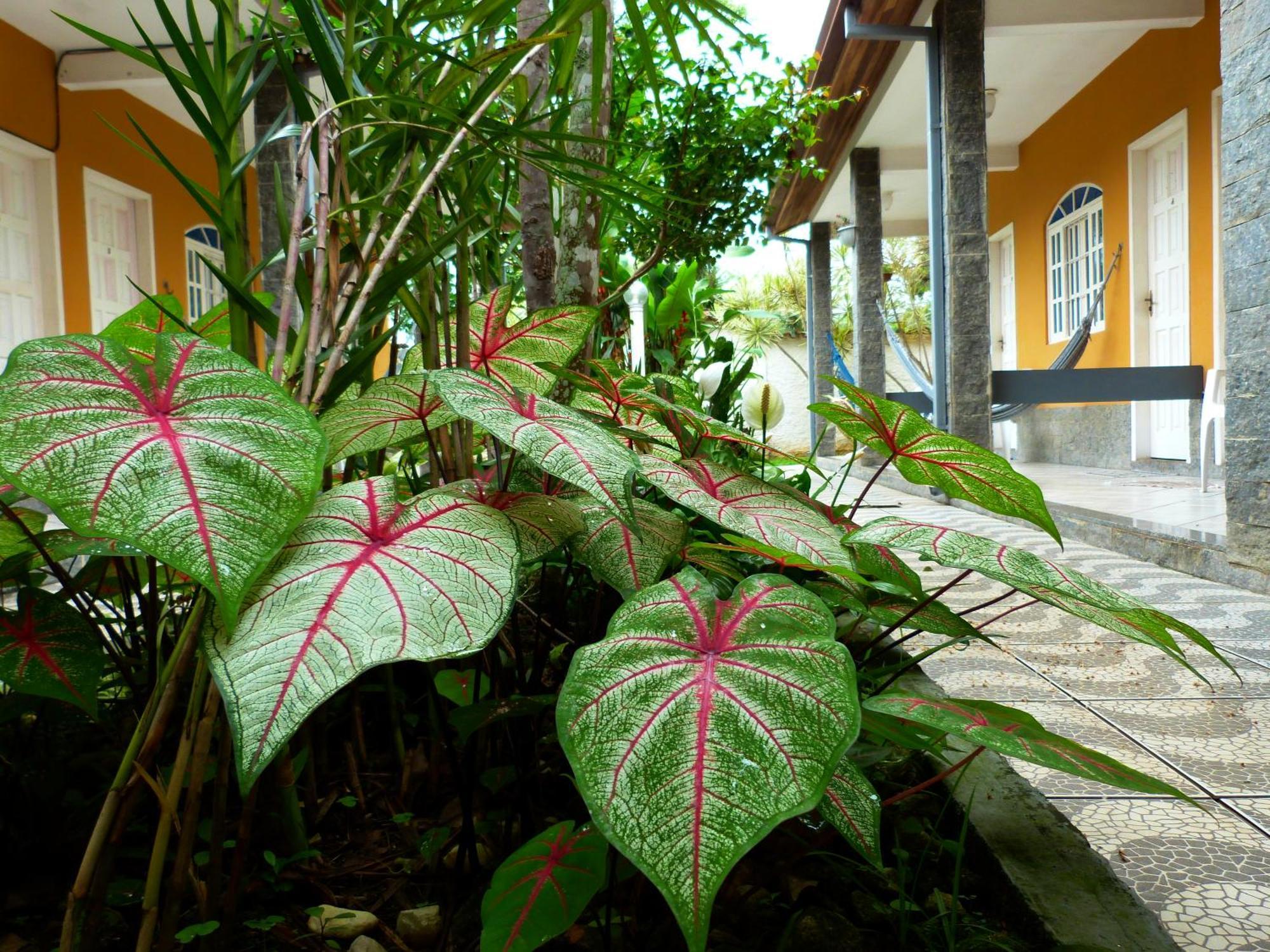 Villa Do Sonho Pousada Hotel Araquari Eksteriør billede